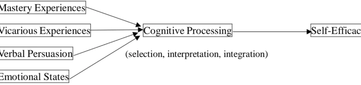 Figure 2.1. The mechanism of self-efficacy forming.   