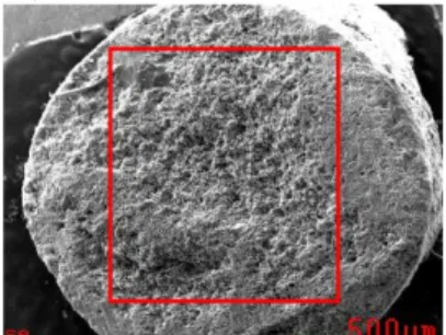 Figure 3. SEM imaging of carbon rods outer layer 