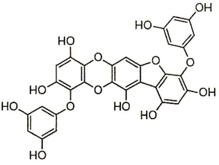 図 1.  フロロフコフロエコ－ル‐Ｂの構造  これら 6 種類のポリフェノールが抗アレルギー活性を示す機構は、第一は、ヒスタミンの 放出抑制が起きること、第二は、リンパ球の一つであるヘルパーT 細胞が持つ二つの 型（リンパ球 Th1 型とリンパ球 Th2 型）のうち、Th1 型の活性が優勢になり、アレルギー が抑制されることです。具体的には、Th1 型はリンパ球の一つである B 細胞に IgG 抗 体を作らせて、細菌やウイルスなどの異物を攻撃、破壊して感染を防御するとともに、 Th2 型の IgE 抗体産