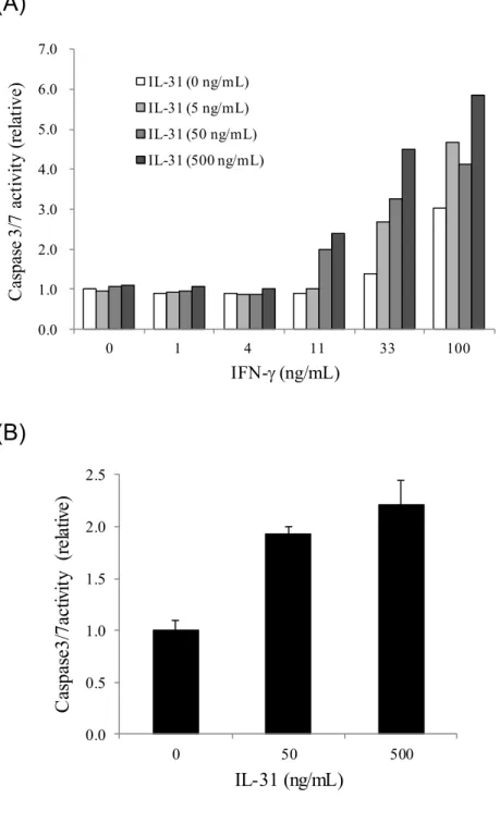 Figure 10  IL-31 による HaCaT 細胞の caspase 3/7 活性の誘導 