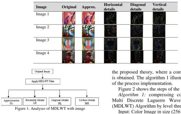 Figure 1. Analyses of MDLWT with image 