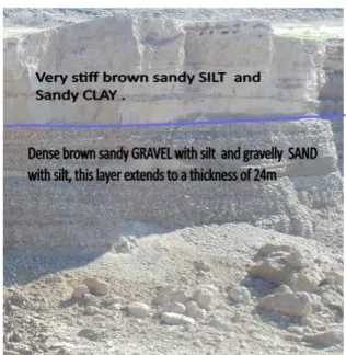 Figure 2. The surface map of the soils in the area 