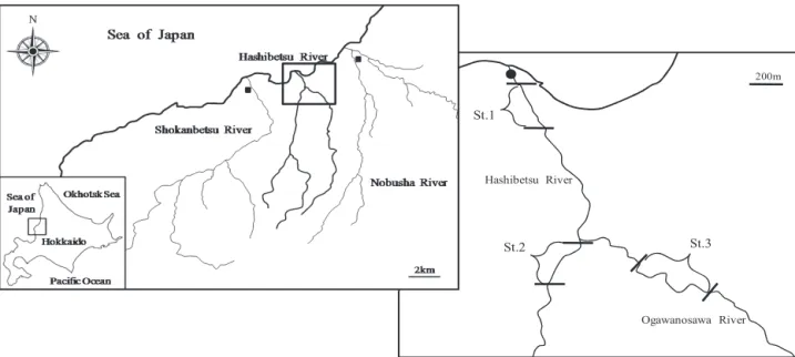 Table 1 Number of live chum salmon, carcasses observed, and spawning redds of chum salmon in Hashibetsu River in 2010 and 2011.