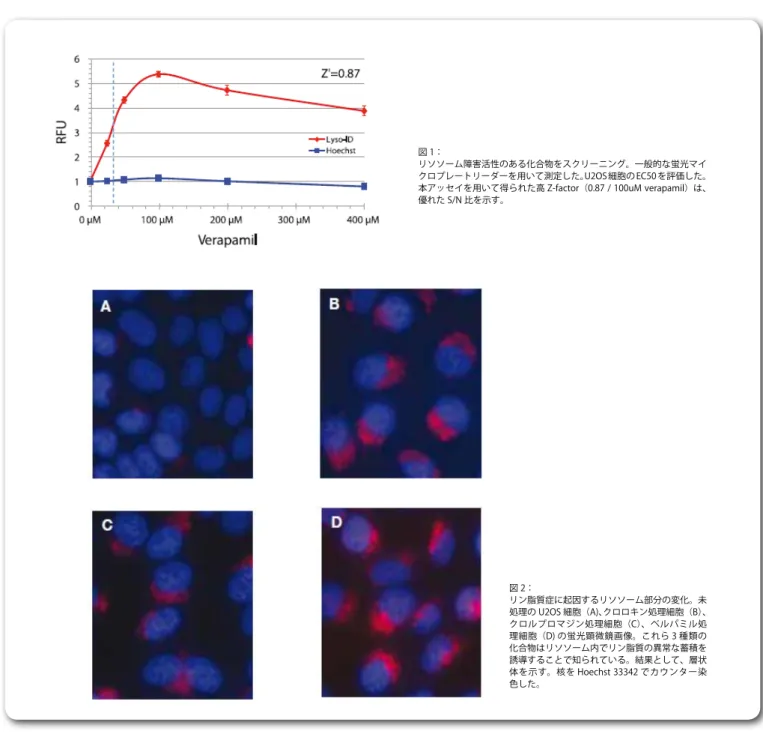 図 1： リソソーム障害活性のある化合物をスクリーニング。一般的な蛍光マイ クロプレートリーダーを用いて測定した。U2OS細胞のEC50を評価した。