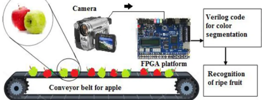 Figure 2. The hardware setup for the ripe apple recognition system