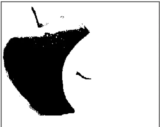 Figure 12. Noise-removed binary image 