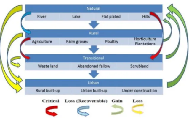 Figure 7. Major land use/land cover transformation classes. 