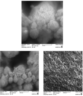 Figure 8. SEM images of TiMC by CVD. 