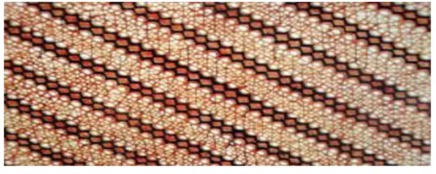 Figure 1. Printed batik from China (COO: BATIK of China. 