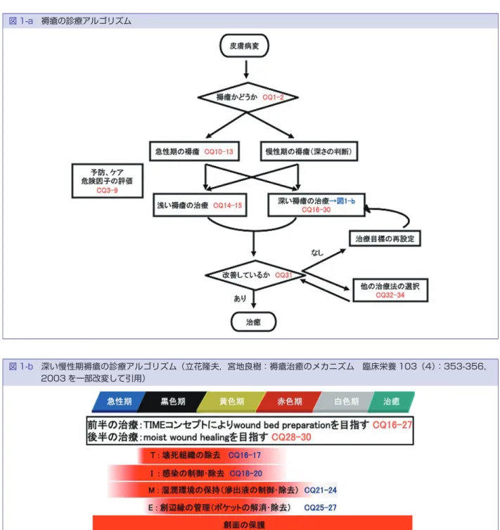 図 1-a 褥瘡の診療アルゴリズム 図 1-b 深い慢性期褥瘡の診療アルゴリズム（立花隆夫，宮地良樹：褥瘡治癒のメカニズム 臨床栄養 103（4）：353-356， 2003 を一部改変して引用） 多くなり感染へと移行しかけた状態を指す． 【バイオフィルム】異物表面や壊死組織などに生着 した細菌は，菌体表面に多糖体を産生することがある． それぞれの菌周囲の多糖体は次第に融合し，膜状の構 造物を形成し，菌はその中に包み込まれるようになる． これをバイオフィルムと呼ぶ．この中に存在する細菌 に対しては，一般の抗