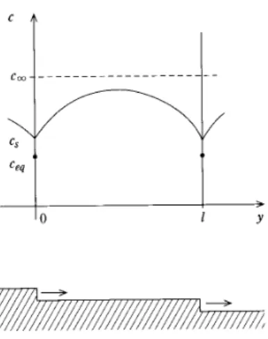 図 4.1: BCF モデルでのステップ間の吸着原子密度 [5] ． となるから V ≈ Ω 2 a ( f − f eq ) = v S ( f − f eq ) である ( ただし f eq = c 0 eq /τ ) ．これは表面 に吸着した原子が，蒸発する分を除いて，すべてステップに取り込まれてしまうこと を表わしている． ステップカイネティクスの非対称性と不安定化 ステップの両側を比べると，上段側テラス上の吸着原子と下段側テラス上の吸着原 子とでは結晶化しやすさに差があると考えられる．そこで (4