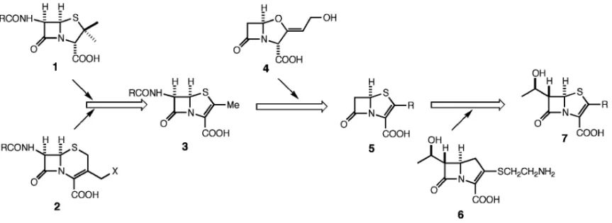 Fig. 1. The History of Design of Penem Derivatives イシン）（6）の 6 位のヒドロキシエチル基を，ペネ ムの 6 位に導入することにより解決され， 6,7) ついで， 2 位の側鎖を選択することにより望む抗菌活性と経 口吸収活性が得られるものと期待された（Fig