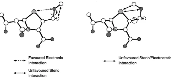 Fig. 8. Favoured and Unfavoured Interactions Caused by the Methyl Group at the C1' Position