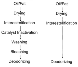 Fig.  4  Processing  Flow  Chart  of  Chemical  and  Enzymatic  Interesterification.