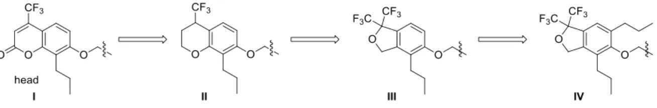 Figure 27. Molecular design to modify the head str ucture of  I 