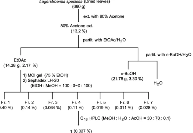 Fig. 2. Isolation Scheme of L. Speciosa評価法の確立を目的として，L. speciosaに含まれる1の定量法の検討を行った．また，本定量法を用いてL