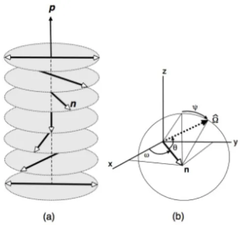 FIG. 1: コレステリック相のダイレクター: n