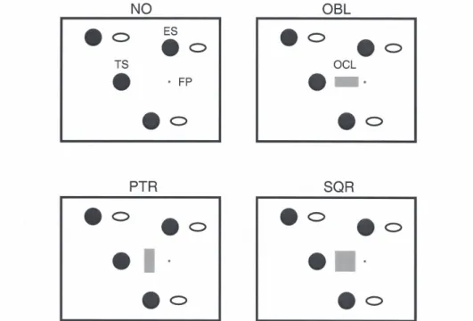 Figure 1　 Illustration  of  stimuli  used  in  Experiment  1.    Each  of  stimuli  was  presented  in  two  frames  of  display