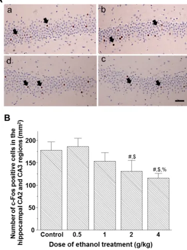 Figure  4. Dose-dependent effects  by  ethanol on c-Fos expression in the dentate gyrus