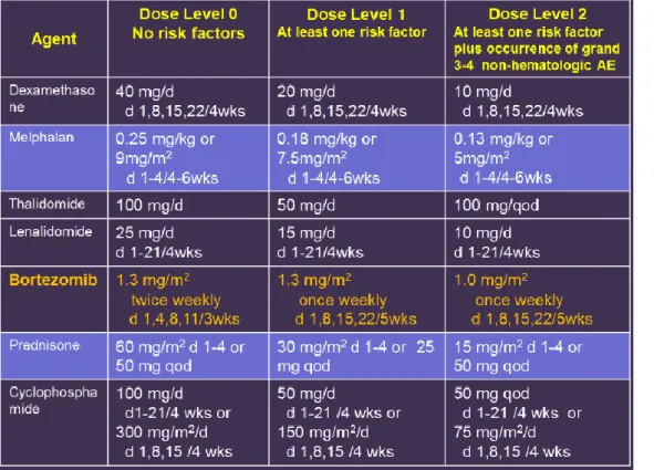 Table 1  Table 1 European Myeloma Network（EMN）より提唱された，年齢と Frailty，comorbidity に基づく，薬剤用量調整の表。文献 13 から