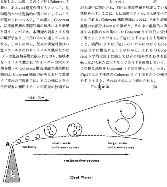 Fig.  10.  Schema  of  the  coherent  vortex  model.