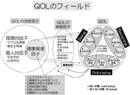 図 ２   Comprehensive health 、  well − being 、  and quality of life framework 、