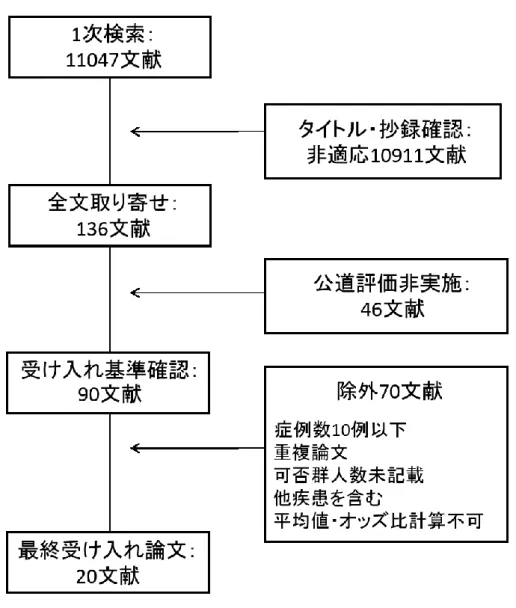 図 3  対 象 文 献 の 抽 出 過 程