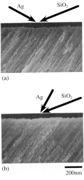 Fig. 4 Scanning electron micrographs of the cross section of obliquely codeposited Ag–SiO 2 thin films fractured parallel to the plane of incidence of the SiO 2 vapor beam for the sample prepared with (a)  α Ag  = –60 ° and (b) α Ag  = 30 ° 