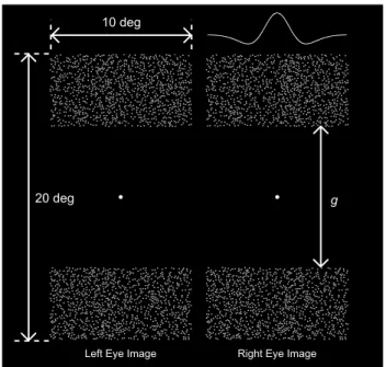 Fig. 5 Random dot stereogram illustrating an example of test  stimulus used in the horizontal modulation condition of Exp