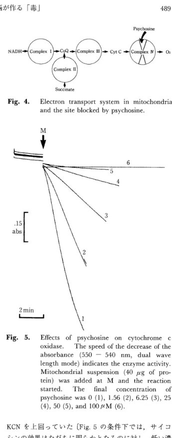 Fig 。 3 ． 　 Differcntial 　 spcctrum 　 of 　 the 　 absorbance 　 of