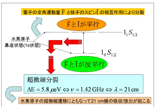 図 1: 水素原子の超微細構造 1.2 論文の構成 第 I 部では , 近年 dark age を探る方法として注目されている 21 cm 線がどのようなものであるか について述べ , その強度 (↔ 輝度温度 ) の表式を導出する 