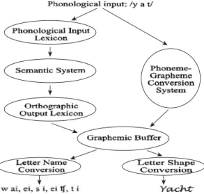 Figure 1 Schematic representation of the functional architecture of the spelling system (from Rapp