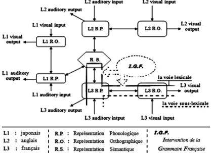 Figure 2 Modèle du traitement lexical trilingue (3)