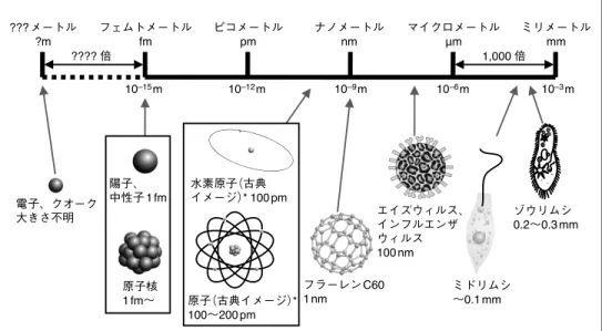 図 6 大きさの比較 備考： * 印の図は、ラザフォードやボーアによる古典的イメージの原子モデル。現在は原子 核の周りに電子の雲が存在するイメージで描かれることが多い。 （ 2 ）不思議な粒 こうした電子のような粒子は、一般的にわれわれが知っている粒子とは大きく異 なった性質を持っている。 粒子の性質を知ろうとするとき、まずはその粒子がどこにあるのか（位置）、どの 方向にどの位の速さ（速度）で動いているのかを「見る」 （観測する）ことが第 1 歩 である。 ところで、 「見る」というのはどういうことであろう