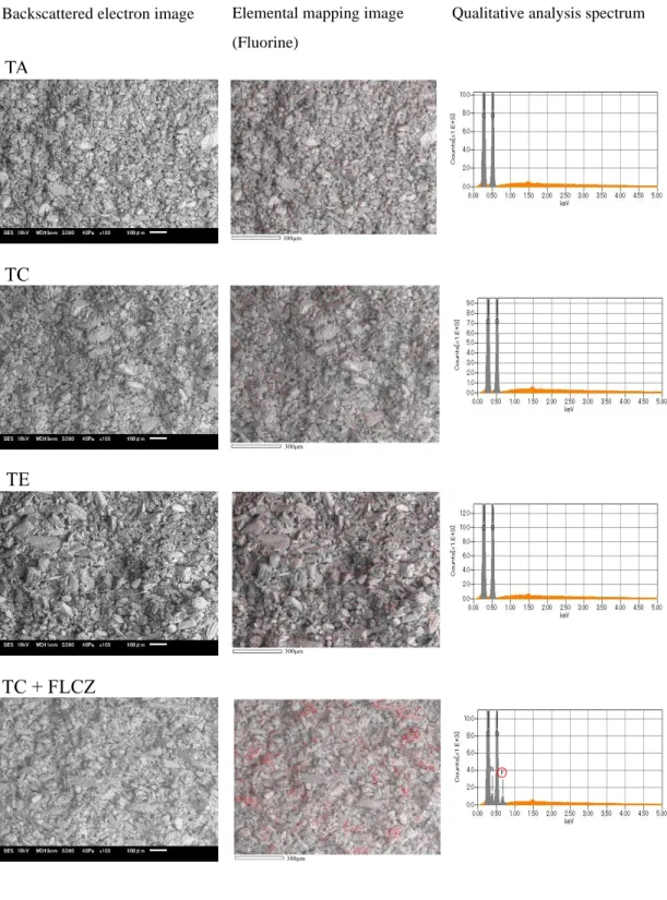 Fig. 10. SEM observation of ODT fracture surface  TA: Lactose, TC: Lactose : Mannitol (2:1), 