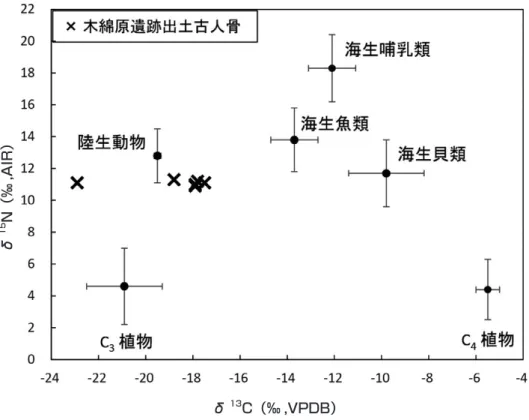 図 6　木綿原遺跡のヒトの同位体比と，食物資源の同位体比の比較 （食物資源の同位体比は表 2 を参照） 図 7　大当原遺跡のヒトの同位体比と，食物資源の同位体比の比較 （食物資源の同位体比は表 2 を参照）δ13 C（‰ ,VPDB）δ13C（‰ ,VPDB）δ15N（‰,AIR）δ15N（‰,AIR）
