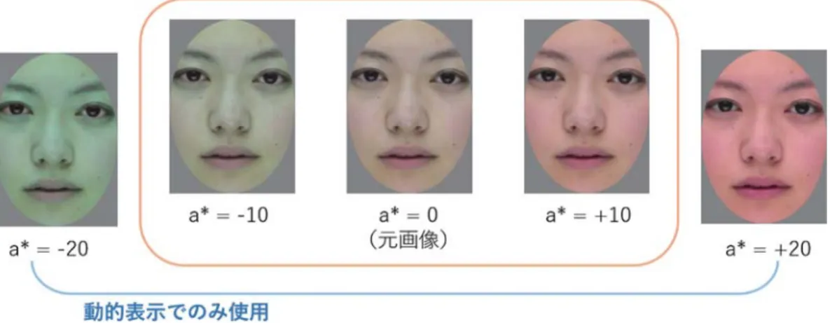 Figure 1 実験 1 で用いた顔刺激の例を示す。中央が元の画像で，左が a*を下げたもの，右が a*を上げたもの