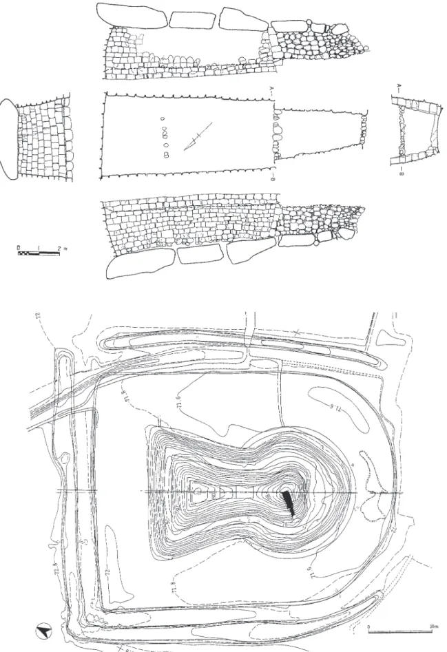 図 1　観音山古墳石室実測図・墳丘測量図