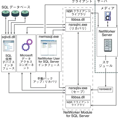 図 1 SQL Server でのモジュールおよび NetWorker のセットアップ