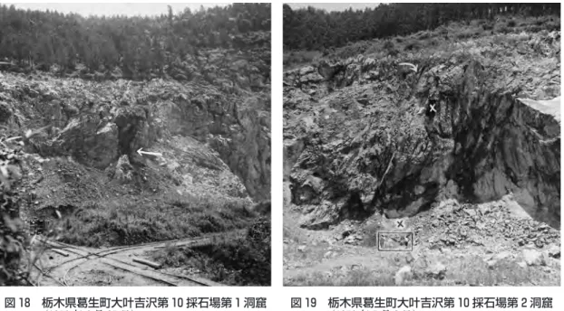 図 21　栃木県葛生町大叶吉沢第 10 採石場第 2 洞窟の崩落物の中から採集した切歯 （1950 年，直良作図・未発表） 直良はヒトの上顎中切歯の可能性を考えた が，甲能直樹によると，大型偶蹄類の左下顎 切歯の可能性が高い，という。現物は所在不 明。図 20　栃木県葛生町附近で収集し直良が骨器と推定したもの［直良 1954a］1：象の肢骨 葛生町大叶吉沢第 2 号採石場，2･3：アナグマの下顎骨  田沼町タカノス沢洞窟，4：オオツノジカの角  大叶吉沢第 11 号採石場，5：カモシカの掌骨 葛生町前河原上