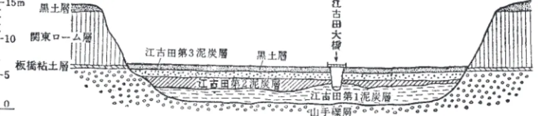 図 39　他書に引用された直良の江古田植物化石層の研究と野川中洲北遺跡附近の層序模式図 ［湊・井尻 1958，1966，野川中洲北遺跡調査会 1989 →稲田編 1988］ 最新の図では，立川ローム層は段丘斜面を覆い立川礫層（山手礫層）の上に堆積している。江古田第 1・第 2 泥炭層は，この地点では立川ローム層の下に堆積しているので，立川層の下部と同じ頃とい うことになる。 1　江古田の針葉樹層（直良信夫氏・関東ローム団体研究グループ原図，改訂）2　江古田の針葉樹層3　野川中洲北遺跡の針葉樹層