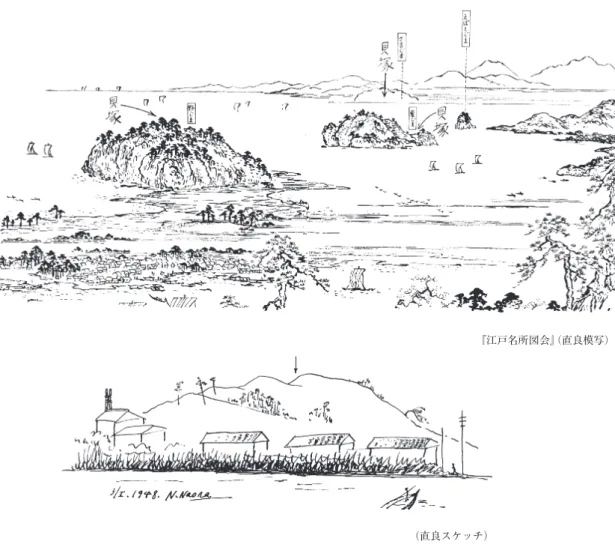 図 16 神奈川県横浜市野島貝塚の位置  夏島貝塚の位置は春成が訂正（直良スケッチ） 『江戸名所図会』 （直良模写） エネコの骨 （NMJH‑1‑2‑72） について，直良は 1972 年にまとめた『古代遺跡発掘の脊椎動物遺体』 で「当初私たちは，猫骨は縄文式文化期のものだ」と信じていたものであるが，「上層に土師器片 をわずかに含む文化層があって，この文化層から猫骨が原生状態を保って出土することが，後に なって知られた」と訂正した ［直良 1972：18］ 。しかし，その「土師器片」はのこっておらず，共 伴