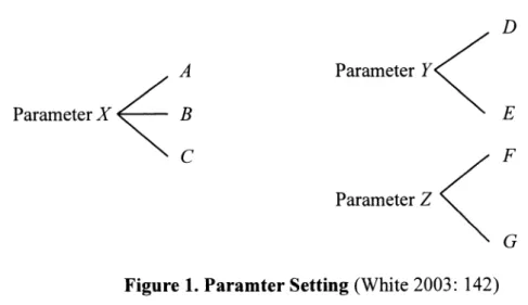 Figure lo Paramter Setting(White 2003:142)