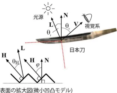 図 2 光反射計測系の概略図（左）と実際の計測風景（右）