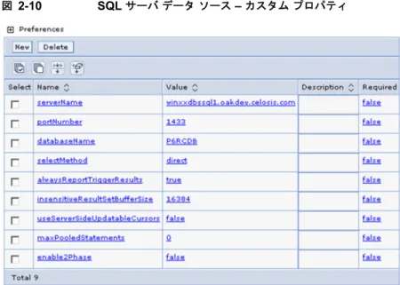 図 2-10 SQL  サーバ データ ソース  –  カスタム プロパティ