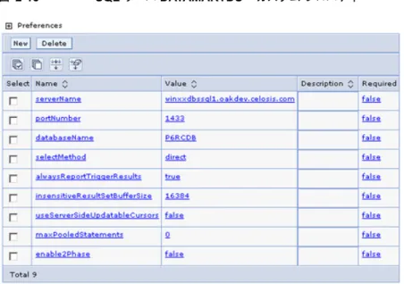 図 2-13 SQL  サーバ  DATAMARTDS –  カスタム プロパティ