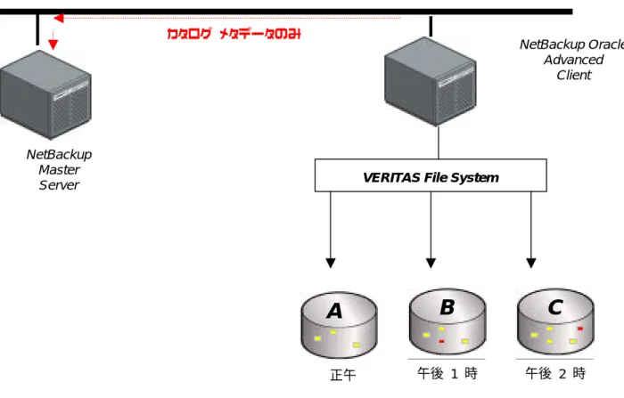 図 8: VERITAS NetBackup Oracle Agent Advanced Client とインスタント バックアップ/リカバリ方法 