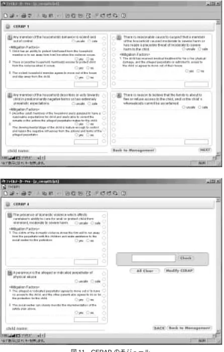図 11 CERAP のモジュール