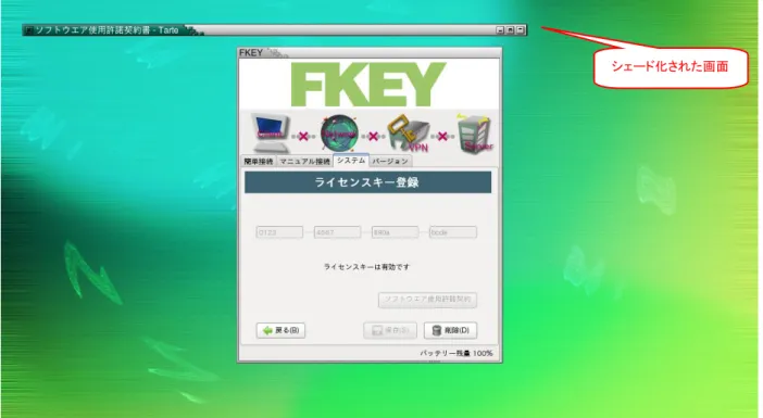 図  3-11  シェード化された状態の表示例 