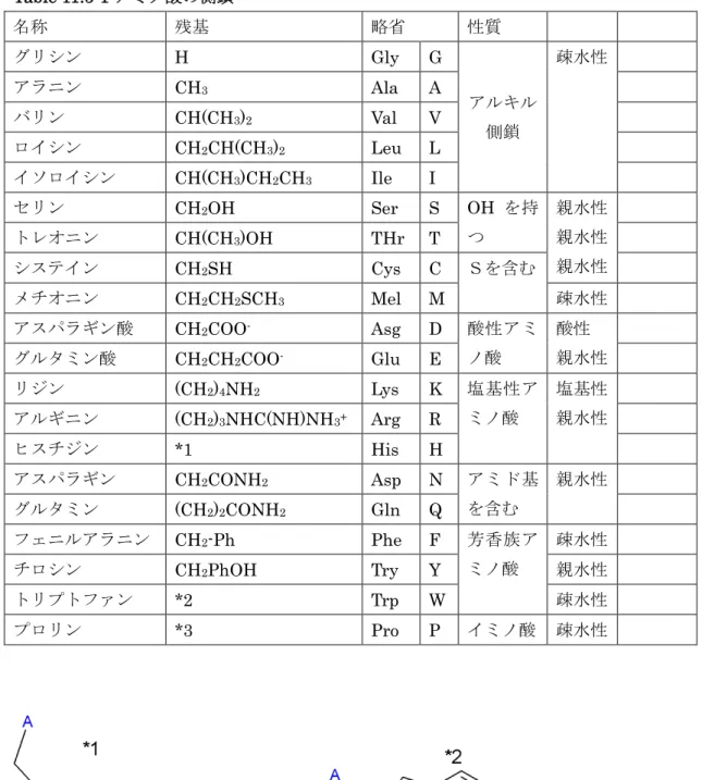 Table 11.5-1 アミノ酸の側鎖  名称  残基  略省  性質  グリシン  H  Gly  G  アルキル 側鎖  疎水性   アラニン CH3Ala A バリン CH(CH3)2Val V  ロイシン  CH 2 CH(CH 3 ) 2 Leu  L  イソロイシン  CH(CH 3 )CH 2 CH 3 Ile  I  セリン  CH 2 OH  Ser  S  OH を持 つ  親水性 親水性  親水性 トレオニン CH(CH3)OH THr  T  システイン  CH 2 SH  Cys